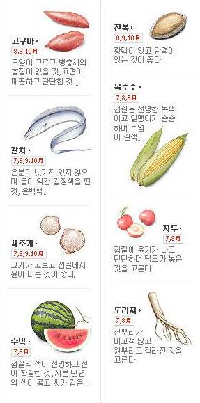 [북마크용]제철음식 캘린더