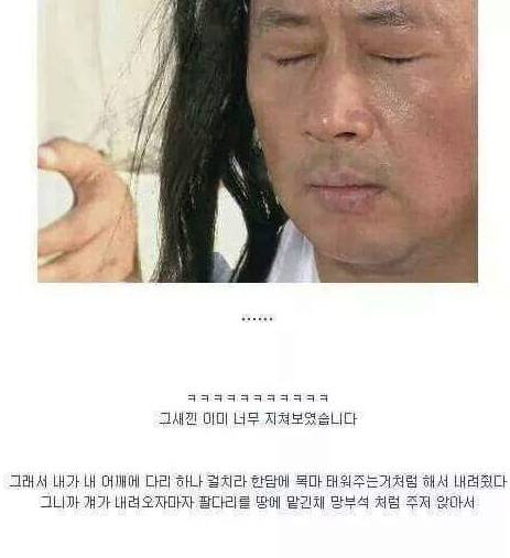 정자 천장에 숨어있던 남자..