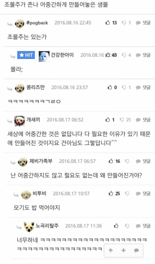 조물주가 나를 만든 이유.jpg