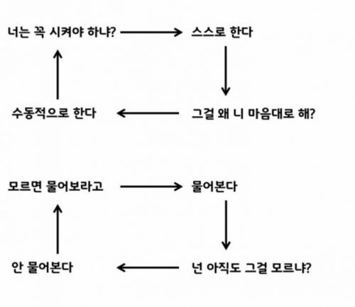 신입사원 딜레마.jpg