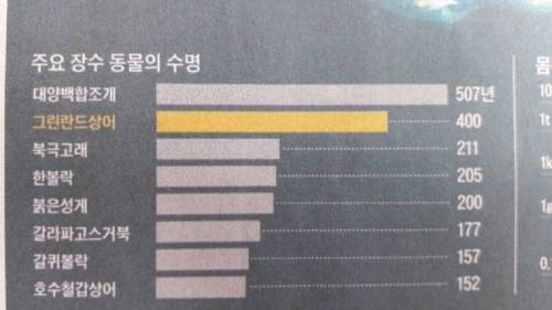 주요 장수 동물의 수명.jpg