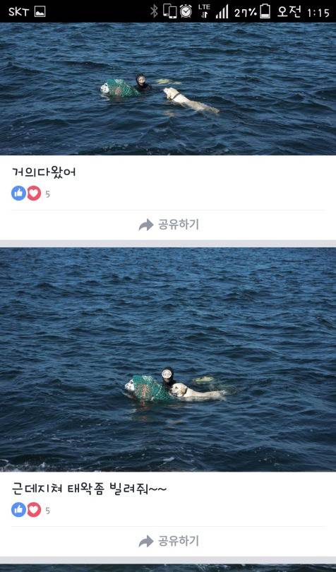 주인을 구하기 위해 바다에 뛰어든 개.jpg