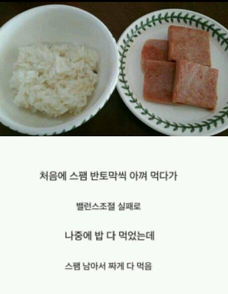 스팸 공감류.jpg