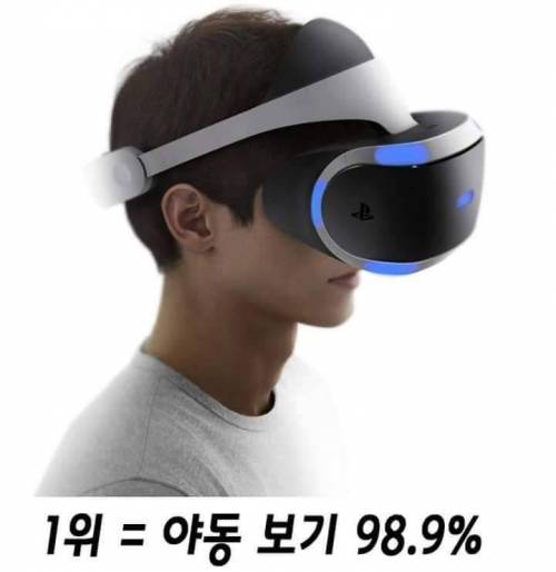 VR기기를 가지게 되었을 경우 가장 먼저 하고싶은 것에 대한 설문조사