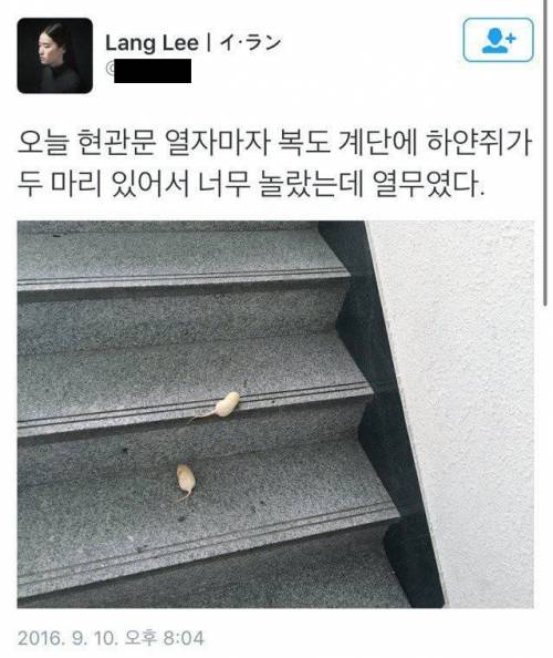 현관문 밖에 하얀 쥐가 있었다