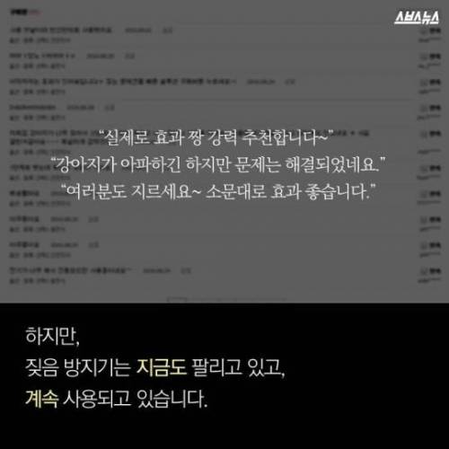 당신은 가족에게 전기 충격기를 달 수 있습니까?