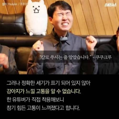 당신은 가족에게 전기 충격기를 달 수 있습니까?