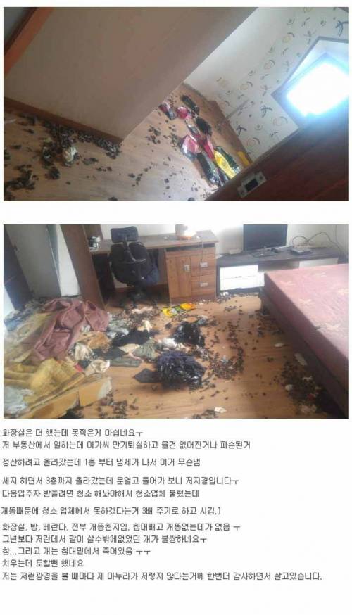 [혐]아가씨의 퇴실후 원룸