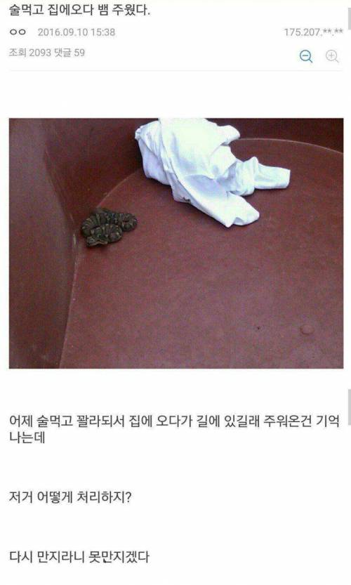 술에 취한 고갤러가 주워온것