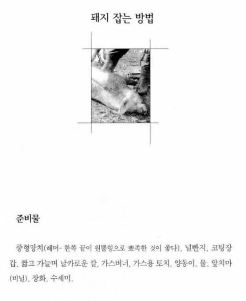 소시지 만드는 방법을 알아보자.jpg