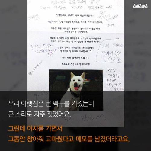 아랫집 백구가 그리웠던 이웃 .jpg