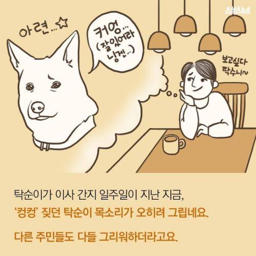 아랫집 백구가 그리웠던 이웃 .jpg