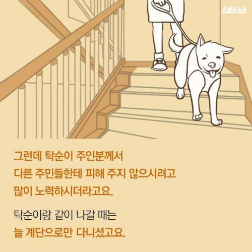 아랫집 백구가 그리웠던 이웃 .jpg