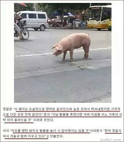 필사즉생.jpg