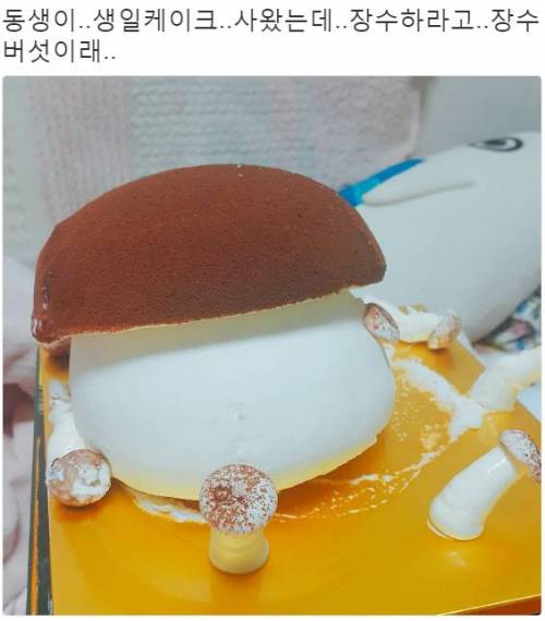 동생이 생일케이크 사왔는데...