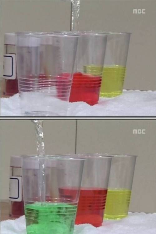 식품 첨가물의 비밀