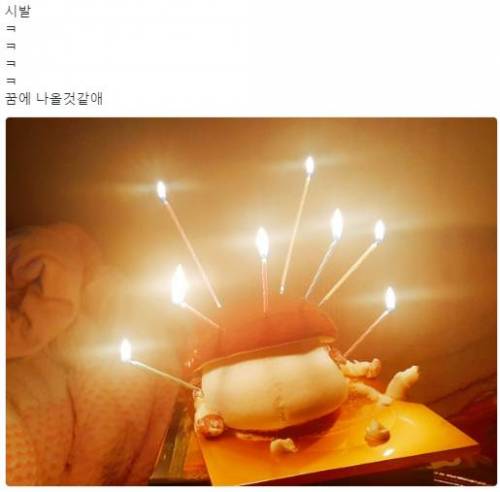 동생이 생일케이크 사왔는데...