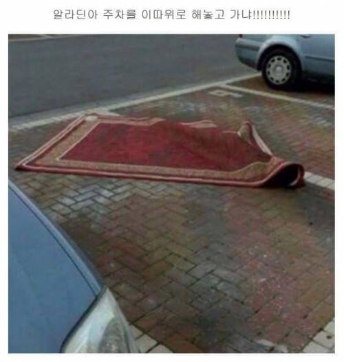 알라딘 근황.jpg