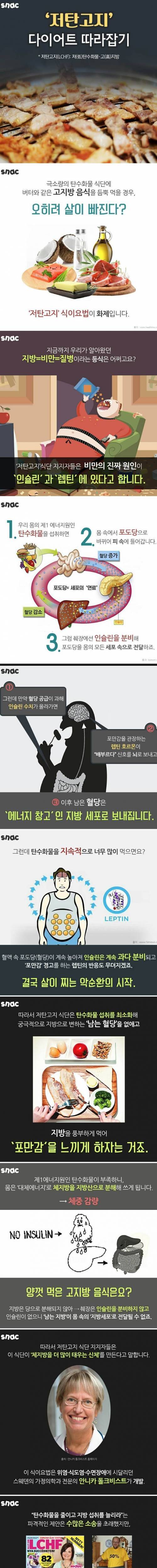 저탄고지 다이어트.jpg