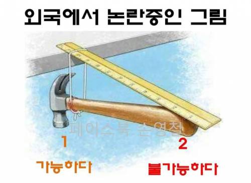 외국 커뮤니티에서 논란이라는 그림한장