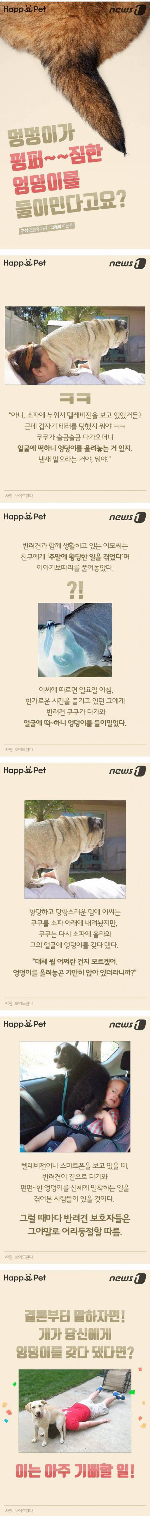 개가 펑퍼짐한 엉덩이를 들이대는 이유