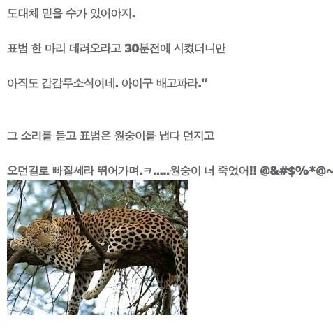 멍멍이의 아프리카 여행 이야기!!