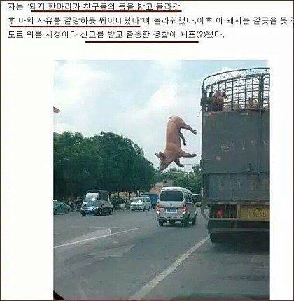 필사즉생.jpg