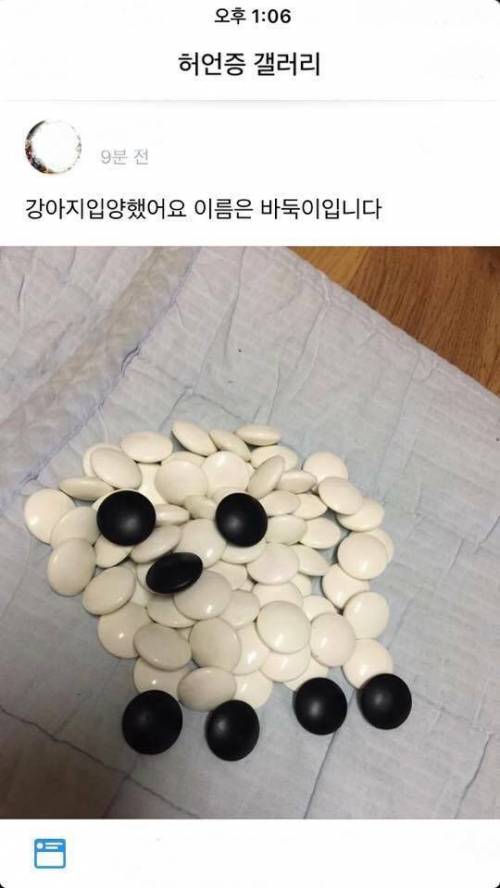 강아지를 분양받은 허갤러