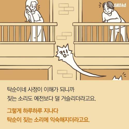 아랫집 백구가 그리웠던 이웃 .jpg