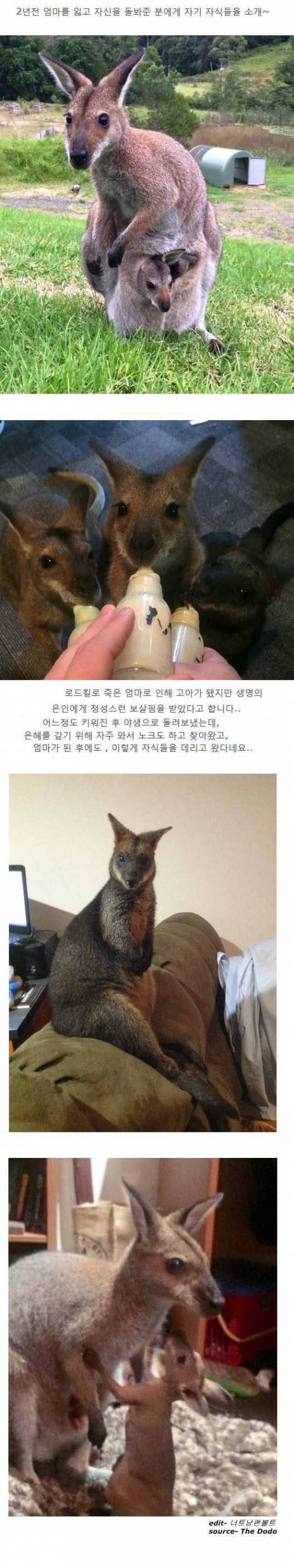 손주 대려왔어요~.jpg