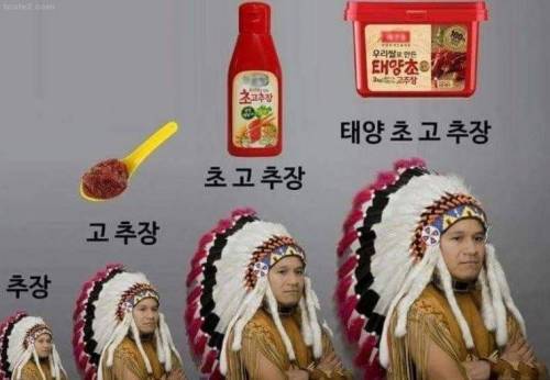 진화 테크 트리.jpg