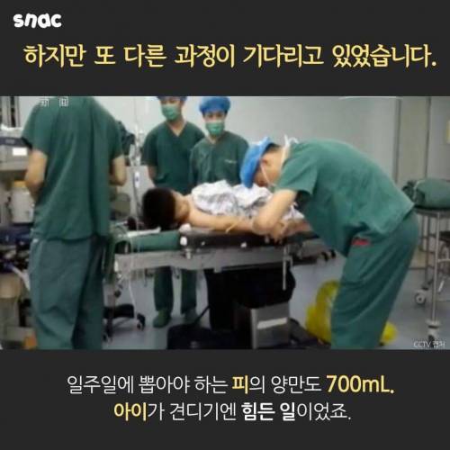 아빠를 구한 아들의 뱃살