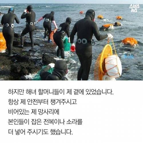 제주도 해녀가 된 어느 미용사 .jpg