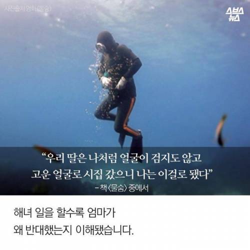 제주도 해녀가 된 어느 미용사 .jpg