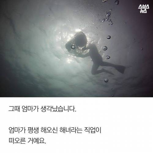 제주도 해녀가 된 어느 미용사 .jpg