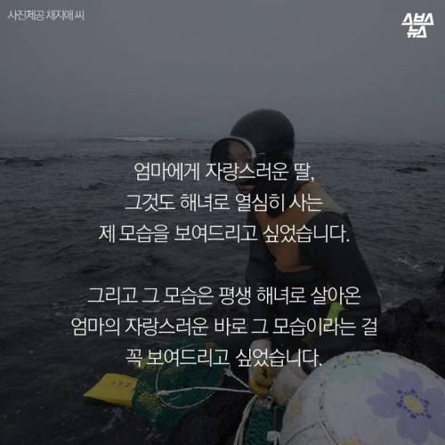 제주도 해녀가 된 어느 미용사 .jpg