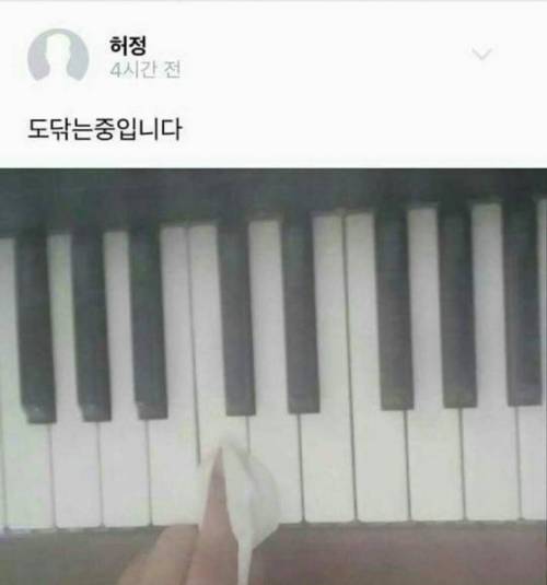 허언증 갤러리.jpg