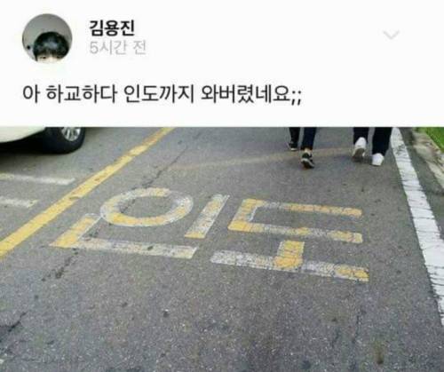 허언증 갤러리.jpg