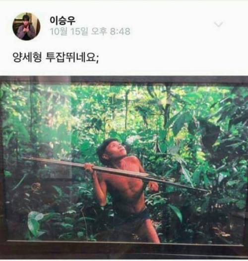 허언증 갤러리.jpg