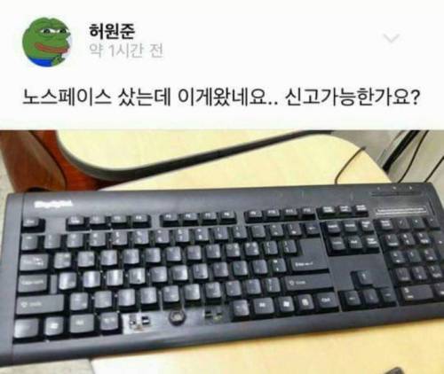 허언증 갤러리.jpg