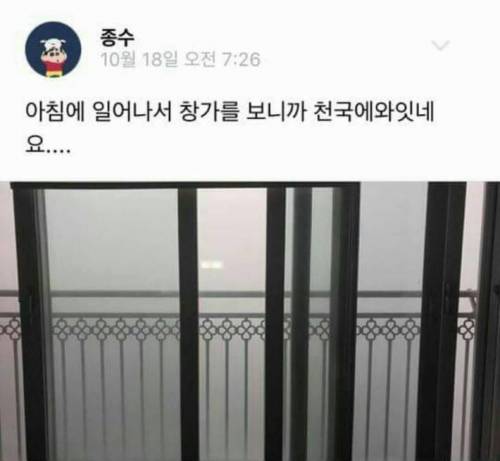 허언증 갤러리.jpg