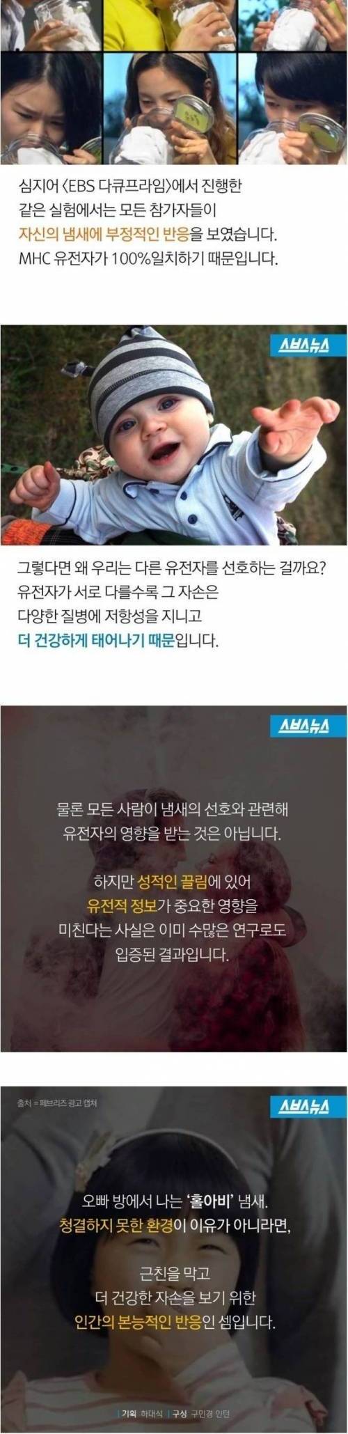 오빠방에서 홀아비 냄새 나요