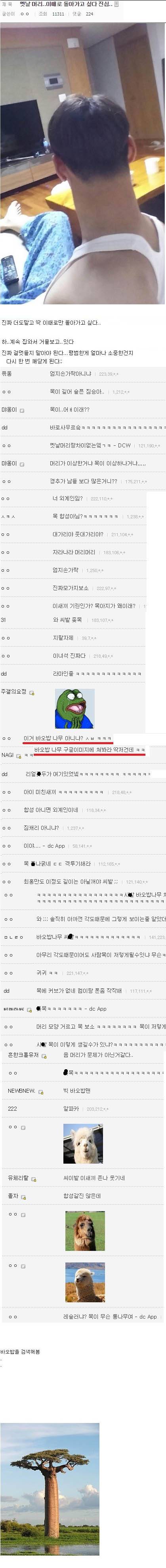 투블럭 실패한 주갤러.jpg