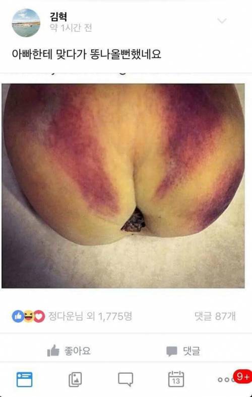 오늘도 허언증갤러리.jpg