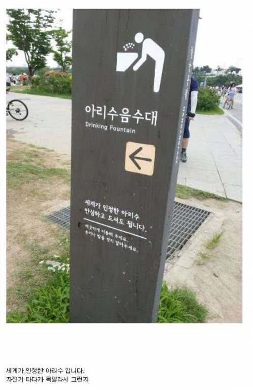 흔한 음료수 전문 블로거.jpg