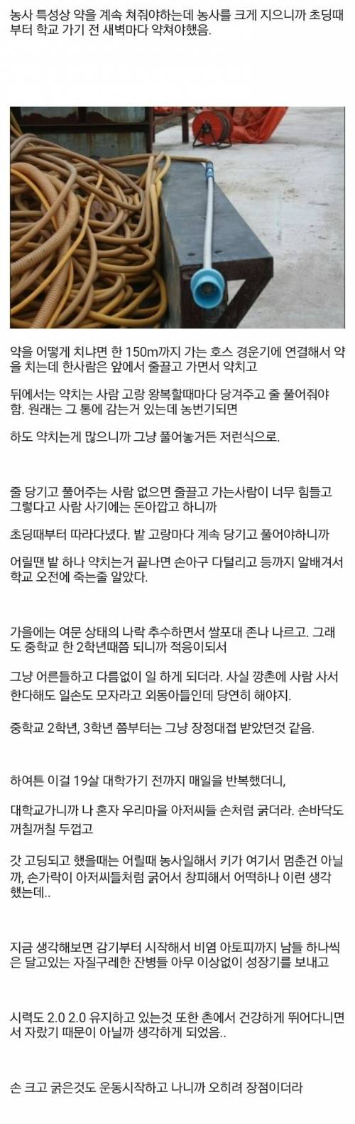 20살인데 어릴때부터 농사일 많이한거 후회했는데 단점만 있는건 아니더라