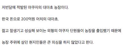 일본 야쿠자가 성실하게 키운 농장