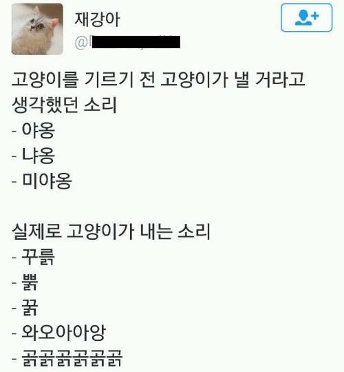 고양이를 기르기 전과 실제로 내는 소리.twt