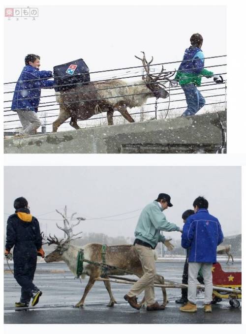 도미노 피자 재팬 폭설 대비.jpg