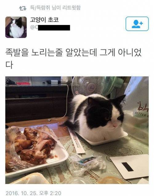 족발이 아니었다.jpg